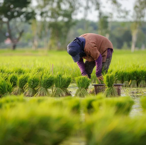 Accelerate innovation with world-class tech teams We’ll match you